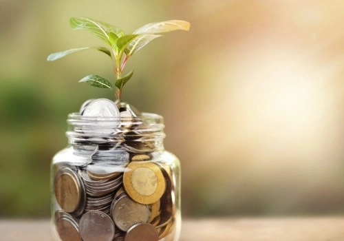 PD LAKSHMI NIDHI LIMITED   Daily Deposit