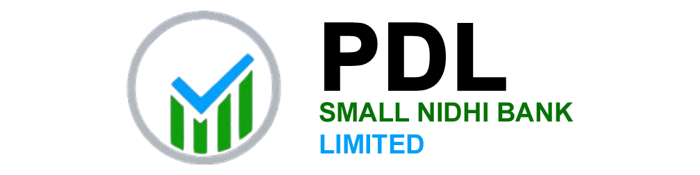 PD LAKSHMI NIDHI LIMITED   Main Logo